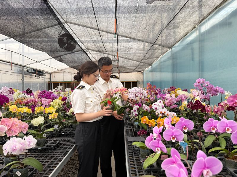 德州海关：“德”力护花，花开万家