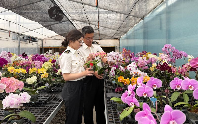 德州海关：“德”力护花，花开万家