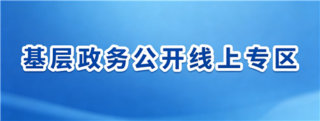 基层政务公开线上专区