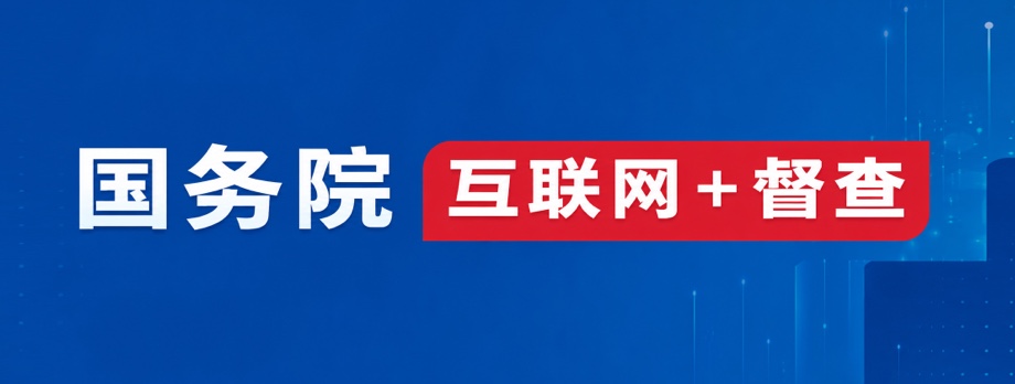 国务院互联网+督查